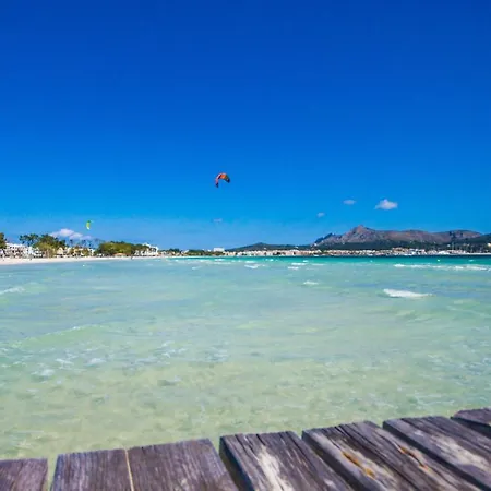 Ideal Mallorca - Gaviotas *
