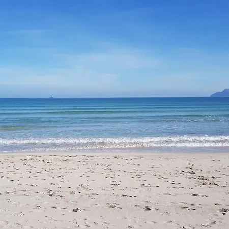 Ideal Mallorca - Gaviotas Playa de Muro (Mallorca)